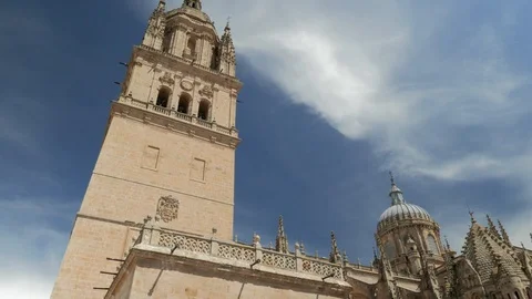 Salamanca cathedral Stock Footage 105895047