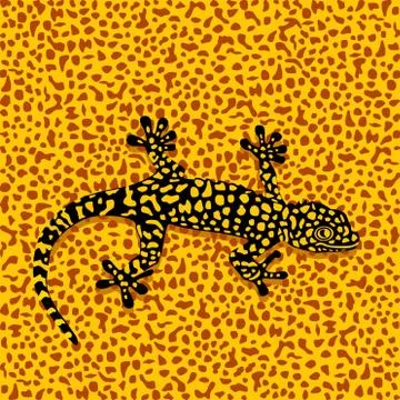 Salamander camouflage Stock Illustration