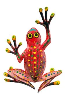 Salamander Stock Photos