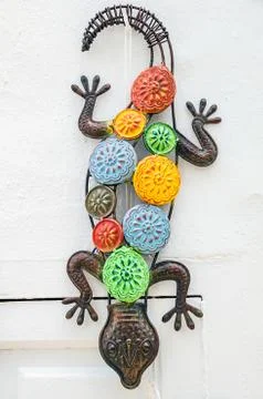 Salamander Stock Photos