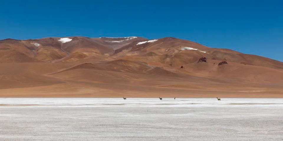 Salar de Pujsa, Salar de Atacama, San Pedro de Atacama, El Loa Province, Fotos de archivo