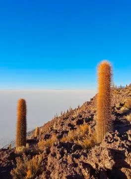 Salar de Uyuni Stock Photos