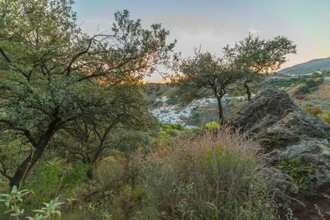 Salares 库存照片