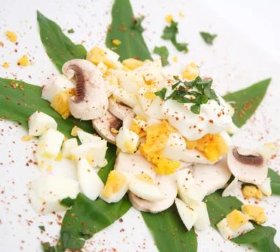 Salat Stock Photos