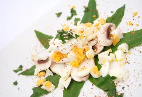 Salat Stock Photos