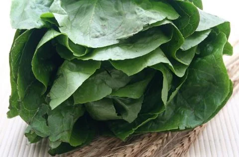 Salat Stock Photos