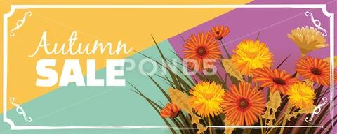 Sale, Autumn flowers, Fall, leaves, banner, flyers, card, autumn colors Stock Illustration