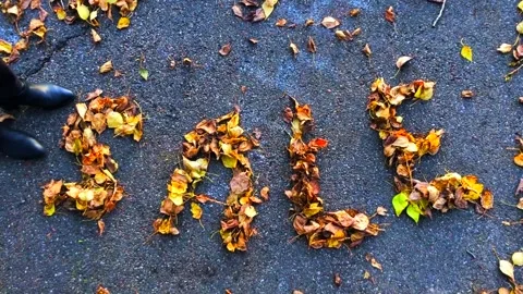 Sale Stock Footage 162250206