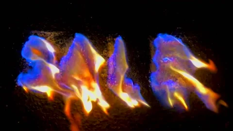 SALE Stock Footage 162333014