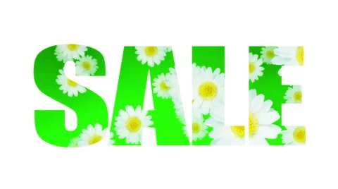 Sale Spring Summer Daisy (Loop) Stock-Footage 48556162