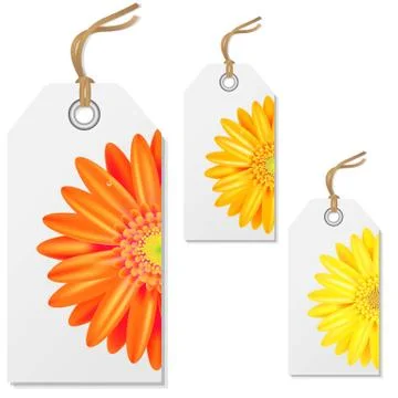 Sale tags with gerbers Stock Illustration