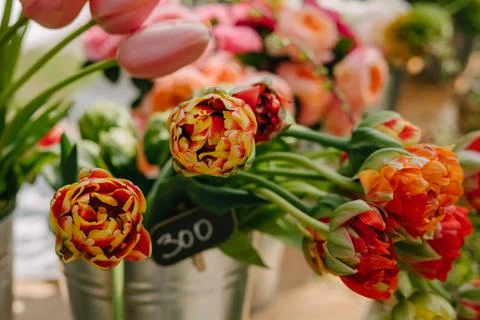 Sale of tulips. Flower market. Orange flowers. Stock Photos
