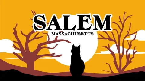 Salem Massachusetts with forest views Stock Footage 332272225
