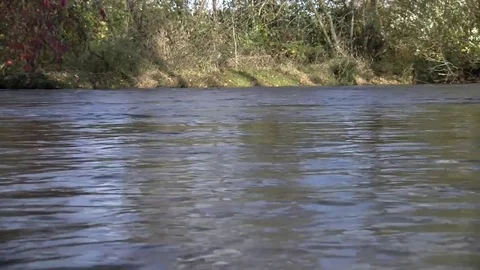 Salem, Mill Creek Close Up  Stock Footage
