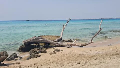 Salento beach image Stock Photos