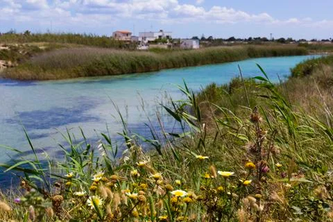 Salento river 写真素材