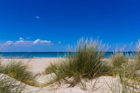 Salento, sand dunes Stock Photos