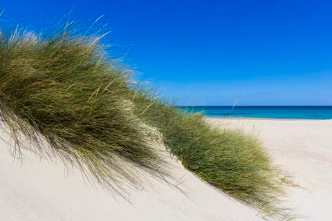Salento, sand dunes Stock Photos
