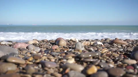 Saler Video stock 165879188