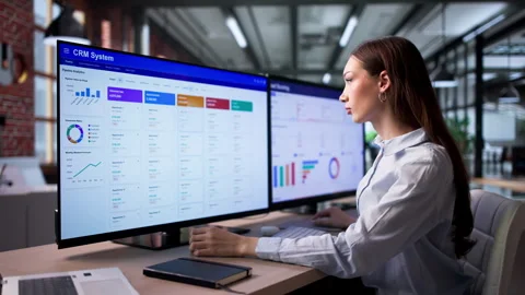 Sales Manager Using CRM Software Stock Footage 335455570
