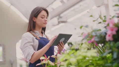 Saleswoman using digital tablet while examining flowers in shop Stock Footage 79659788
