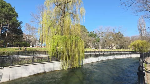 Salgir river flowing through simferopol city featuring a vibrant weeping willow Video stock 335271214