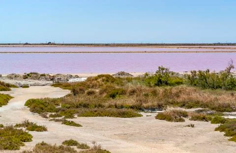 Salin-de-Giraud Stock Photos