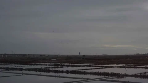 Salinas de Aveiro by the Highway Stock Footage 237891562