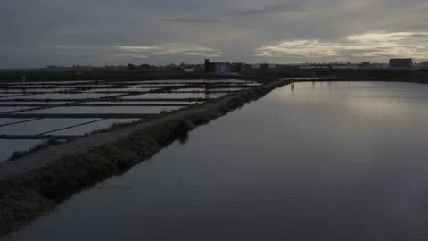 Salinas de Aveiro with Peaceful Cloudy Sunset Stock Footage 237876707
