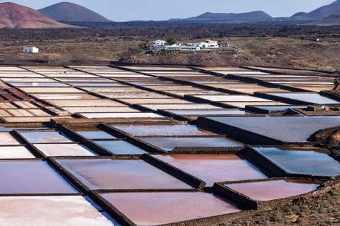 Salinas de Janubio Stock Photos