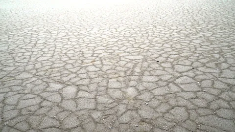 Salinas Stock Footage 194421413