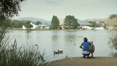 Salinas Valley Stock Footage 123929311