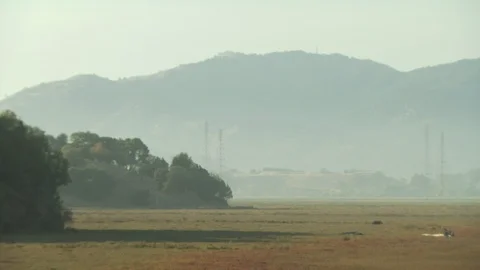 Salinas Valley Stock Footage 123929420