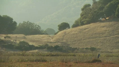 Salinas Valley Stock Footage 123929475