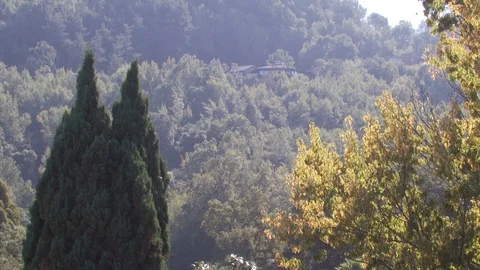 Salinas Valley Stock Footage 123929805