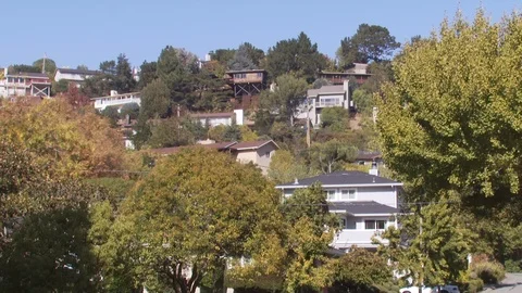 Salinas Valley Stock Footage 123929867