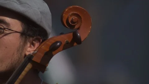 Salinas Valley Stock Footage 123930123