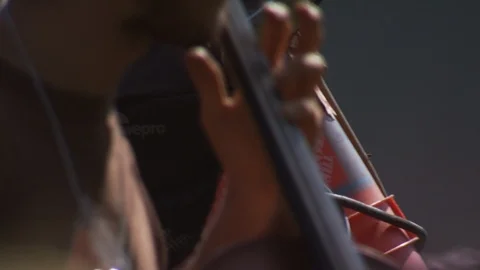 Salinas Valley Stock Footage 123930133