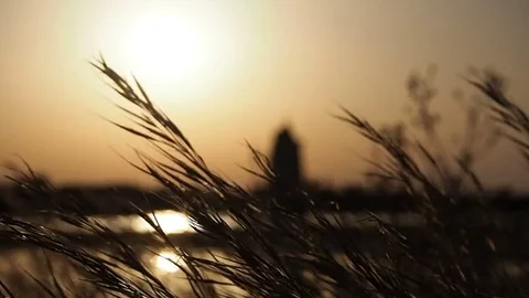 Saline, Trapani, Sicily. 库存影片 84026615