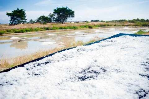Saline with water Stock Photos