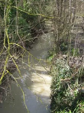 The Salinello stream Stock Photos