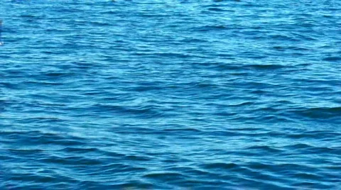 Saling Stock Footage 486812