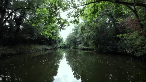 Saling through calm river Stock Footage 143965938