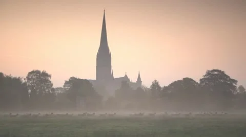 Salisbury cathedral at dawn Stock Footage 11130094