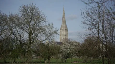 Salisbury Cathedral Stock Footage 49096214