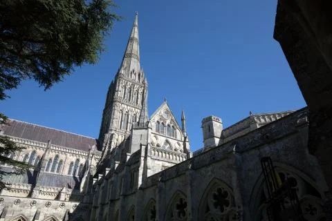 Salisbury Cathedral Stock Photos