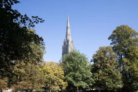 Salisbury Cathedral Stock Photos