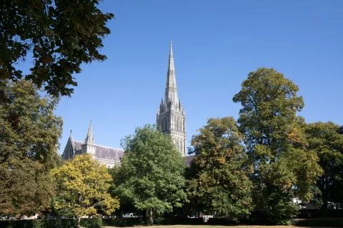 Salisbury Cathedral 스톡 사진