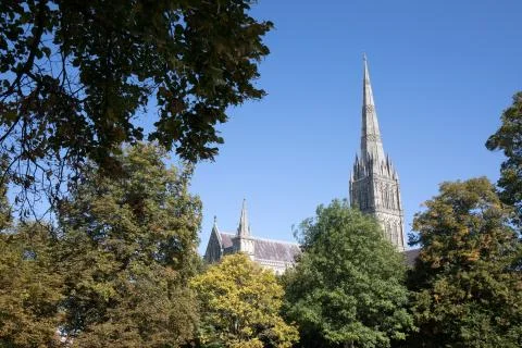 Salisbury Cathedral Stock Photos