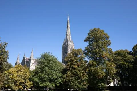 Salisbury Cathedral 스톡 사진